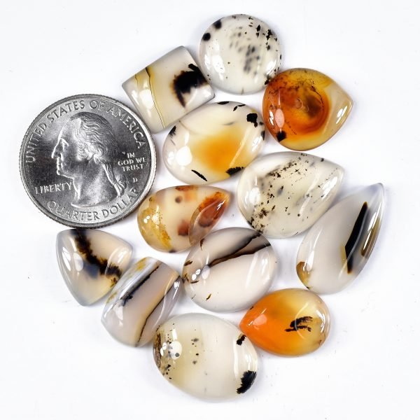 Amit Gems Montana Agate Cabochon Loose Gemstone Lot