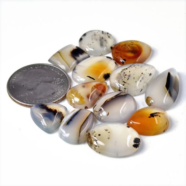 Amit Gems Montana Agate Cabochon Loose Gemstone Lot